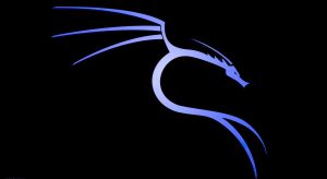 Unlocking the Power of Kali Linux