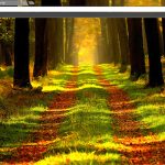 How to Create Captivating Lightbox Windows for Visual Engagement